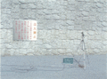 写真4