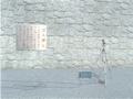 写真4