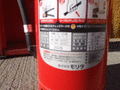 写真2