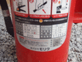 写真4
