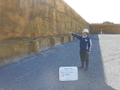 写真5