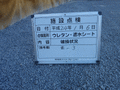 写真12