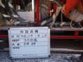 写真11