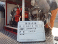 写真11