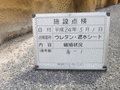 写真6