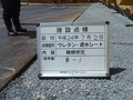写真2