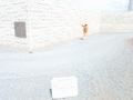 写真27