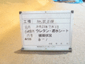 写真6