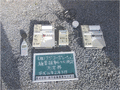 写真5